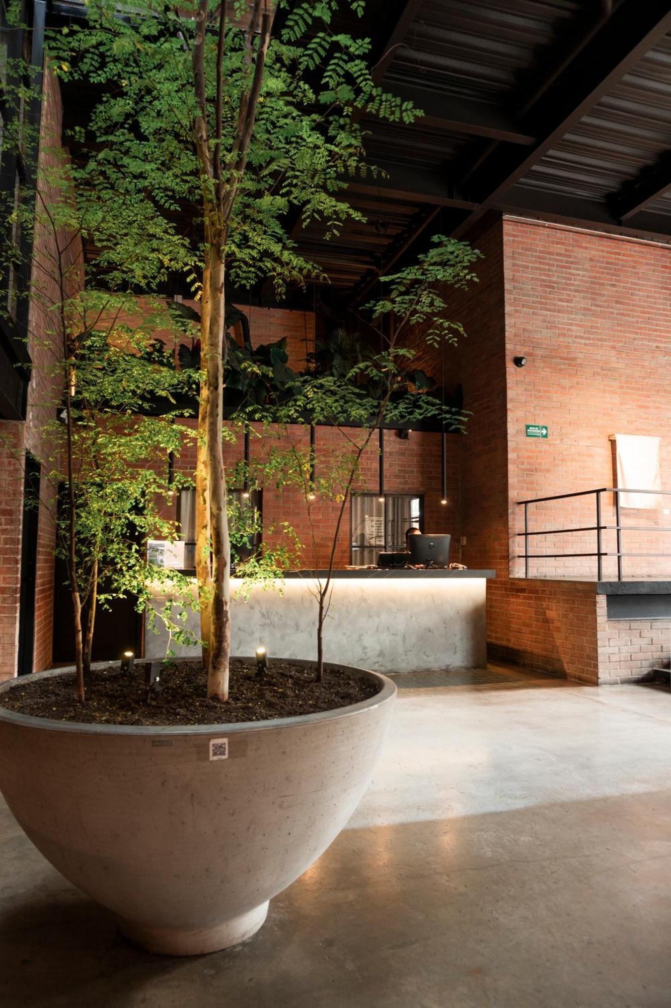 Hotel The Art 4*